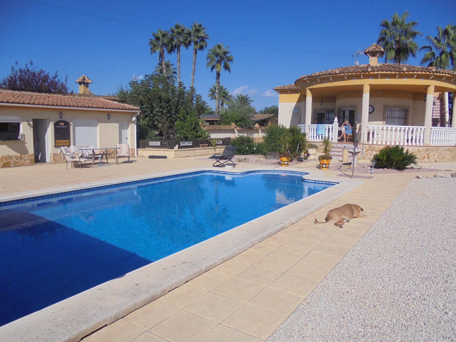 Chalet independiente con piscina privada en Catral